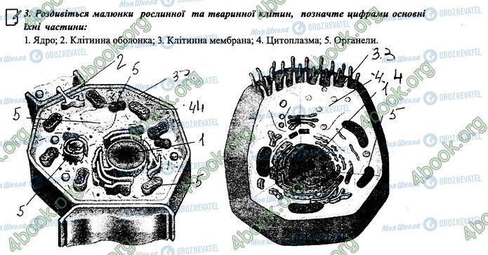 ГДЗ Биология 6 класс страница 7-8.3